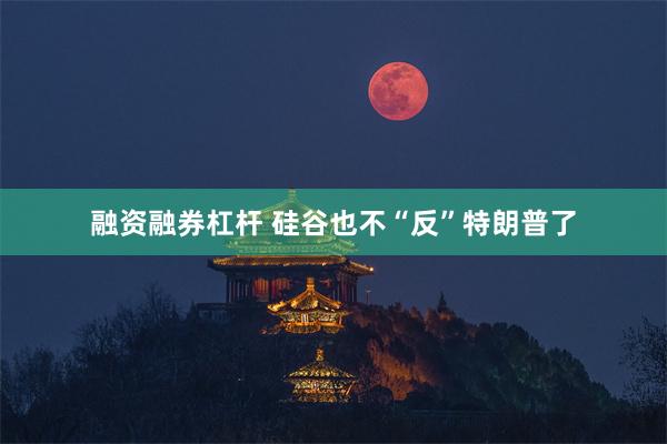 融资融券杠杆 硅谷也不“反”特朗普了