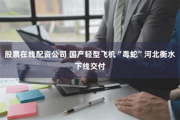 股票在线配资公司 国产轻型飞机“毒蛇”河北衡水下线交付