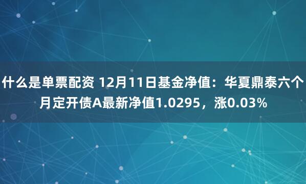 什么是单票配资 12月11日基金净值：华夏鼎泰六个月定开债A最新净值1.0295，涨0.03%