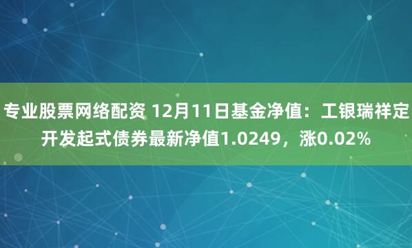 专业股票网络配资 12月11日基金净值：工银瑞祥定开发起式债券最新净值1.0249，涨0.02%