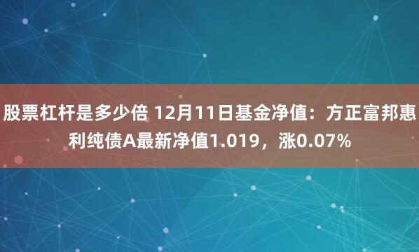 股票杠杆是多少倍 12月11日基金净值：方正富邦惠利纯债A最新净值1.019，涨0.07%