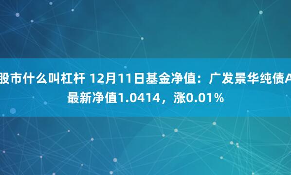 股市什么叫杠杆 12月11日基金净值：广发景华纯债A最新净值1.0414，涨0.01%