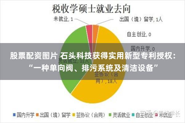 股票配资图片 石头科技获得实用新型专利授权：“一种单向阀、排污系统及清洁设备”