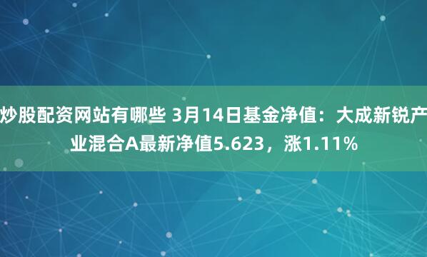 炒股配资网站有哪些 3月14日基金净值：大成新锐产业混合A最新净值5.623，涨1.11%